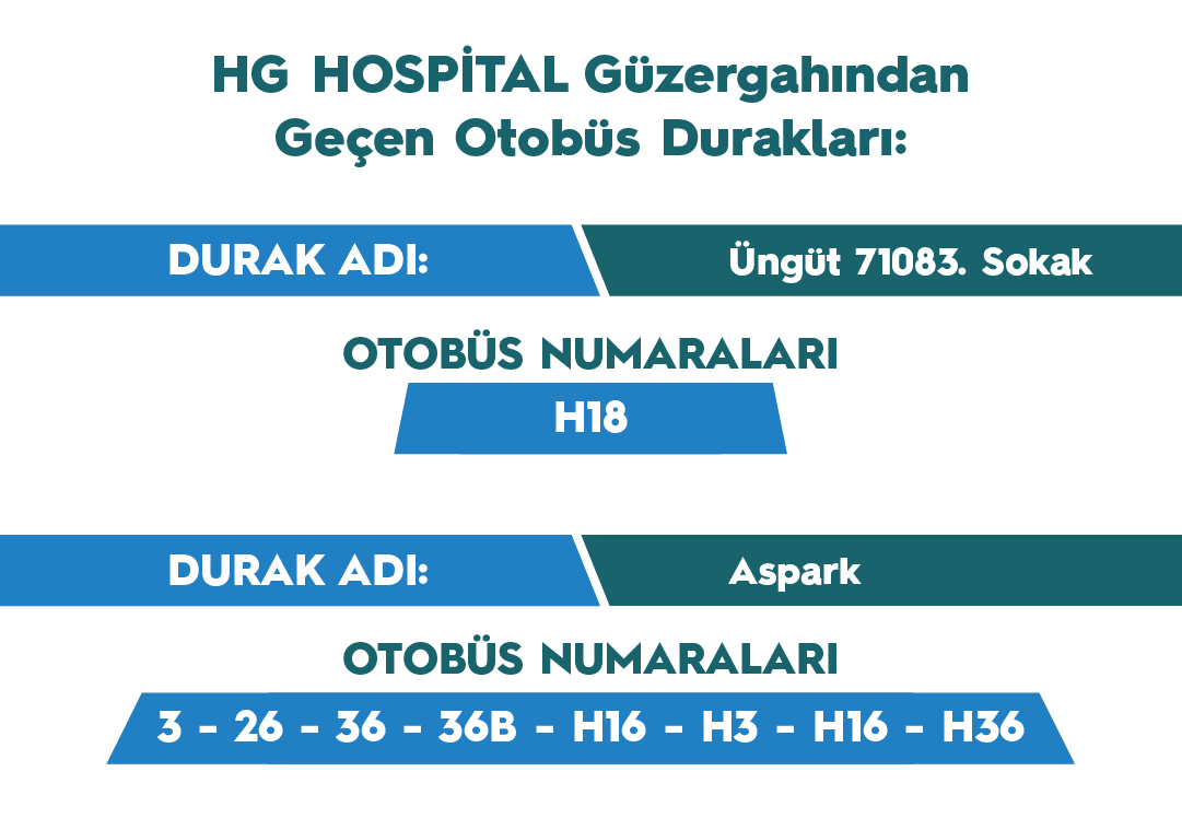 Toplu Ulaşım Araçları
